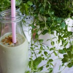 Creamy Cleansing Avocado Smoothie with Coconutwater