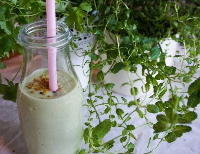 Creamy Cleansing Avocado Smoothie with Coconutwater